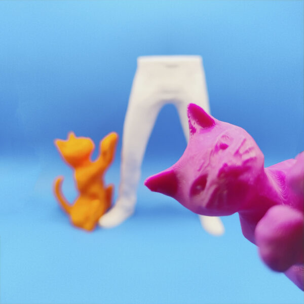 Schock Gaat - Il Gatto Scioccato - immagine 3